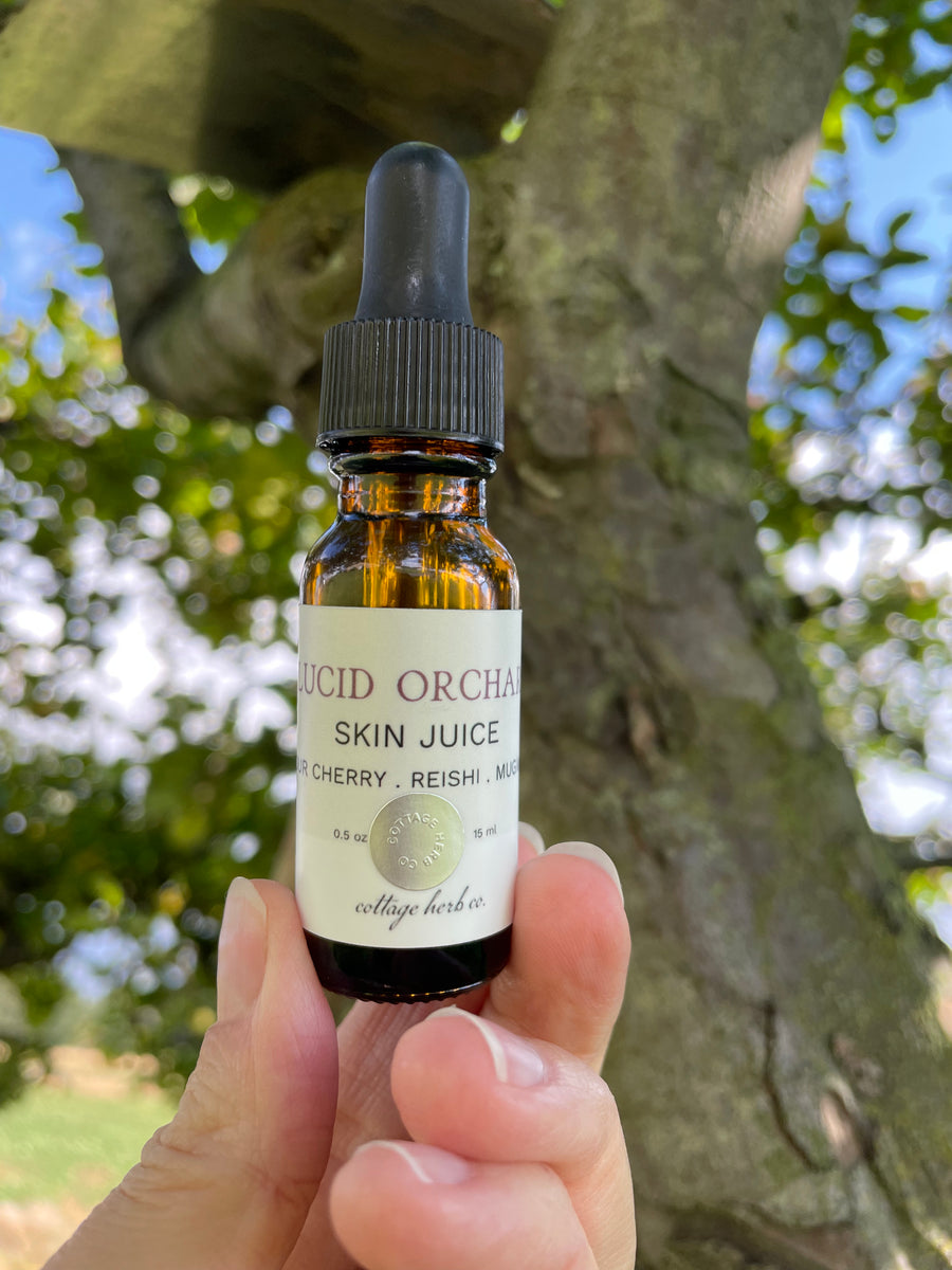 . Lucid Orchard Skin Juice- Sour Cherry + Reishi + Mugwort