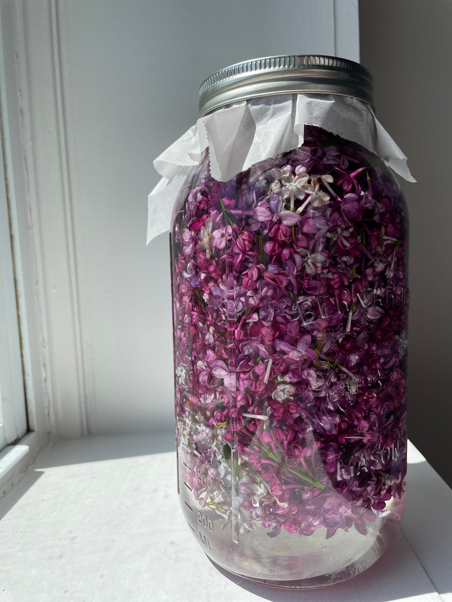 . Lilac Tincture