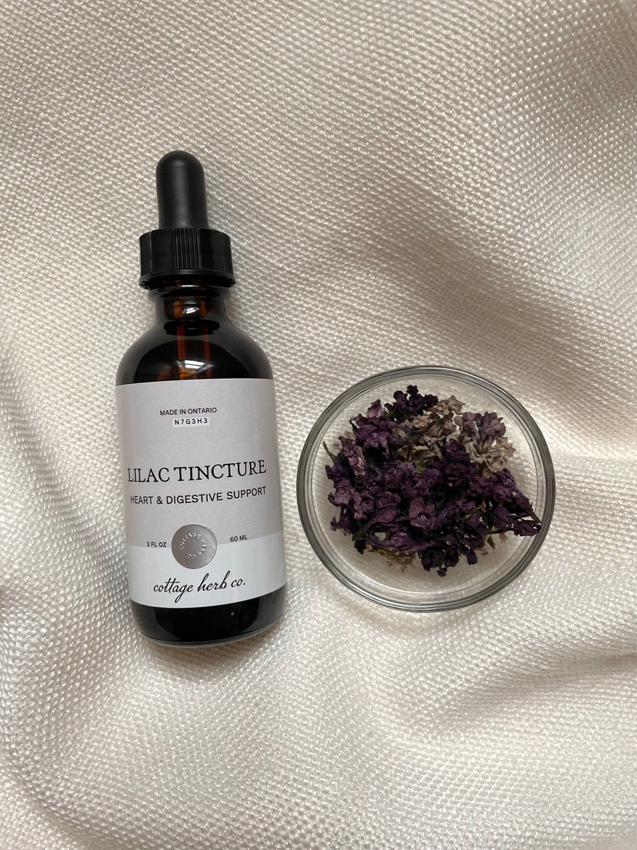 . Lilac Tincture