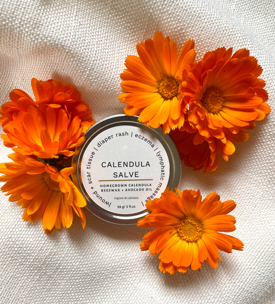 . Calendula Salve